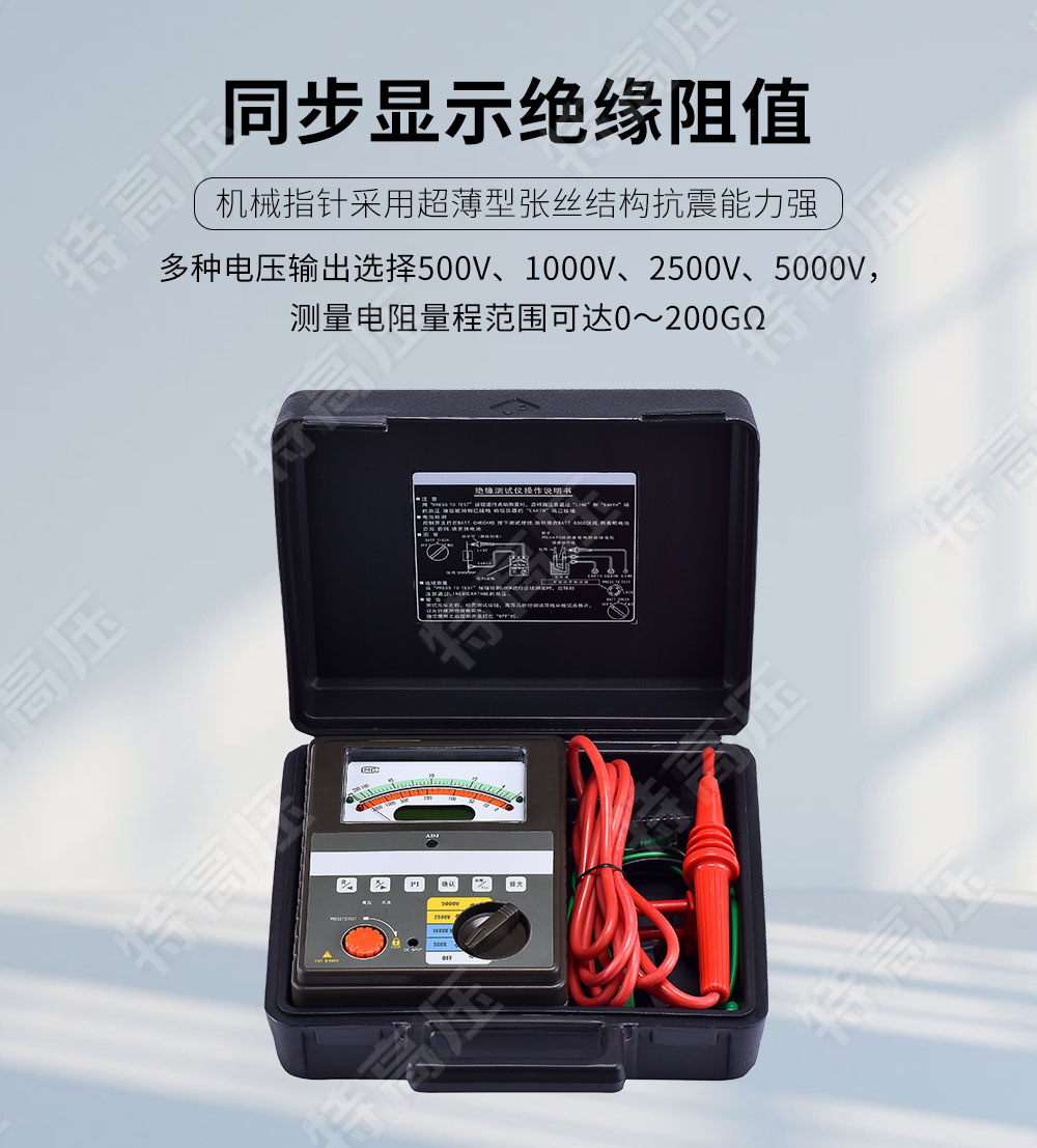 BC2010 智能雙顯絕緣電阻測(cè)試儀(四檔)(圖2) 絕緣電阻測(cè)試儀