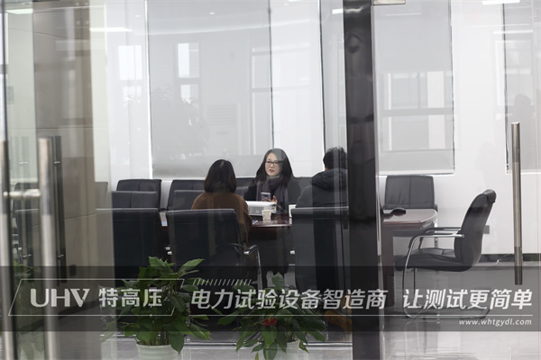 喜迎貴客臨門，浙江客戶來訪特高壓電力！(圖1)